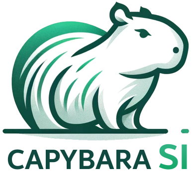 Formation IA et Conseil SI à Saint-Étienne (Loire) | Capybara SI