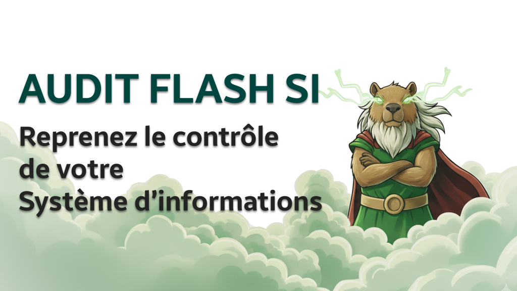 audit-flash-si-TPE/PME-Auvergne-Rhône-Alpes